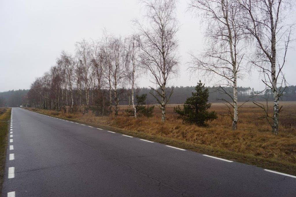 Teren inwestycyjny 8,11 ha – Działka przy ul. Spółdzielczej