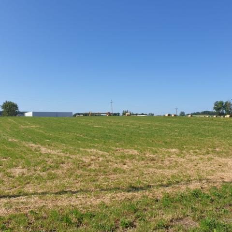 Investment site 5.8 ha – Żukowo