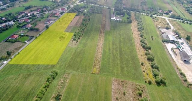 Investment site 2.19 ha – Piotrków Trybunalski