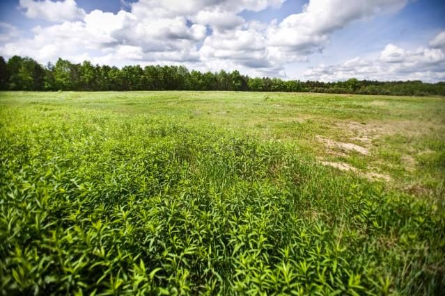 Investment site 1.4 ha – Leżajsk