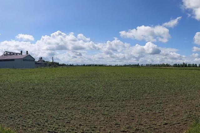 Investment site 4 ha – Cedry Wielkie