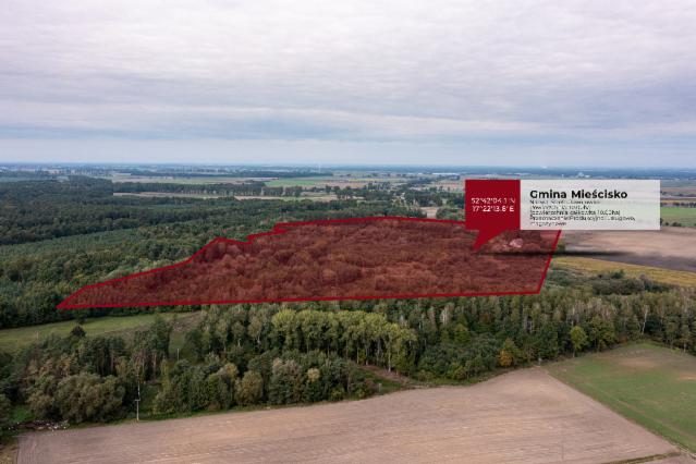 Investment site of 2.8 ha – Mieścisko