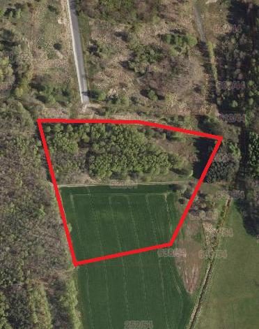 Investment site 2.18 ha – Godów