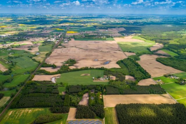 Investment site 105.72 ha – Ryńsk