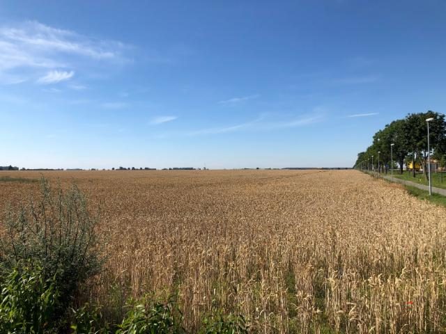 Investment site 54.8 ha – Grodzisk Wielkopolski