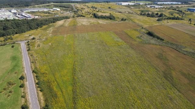 Teren inwestycyjny 3,1 ha – Wałbrzych