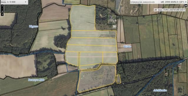 Investment site of 32.61 ha – Wińsko
