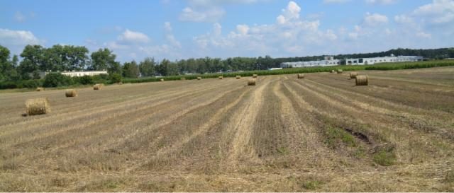 Investment site 6.5 ha – Rojewo